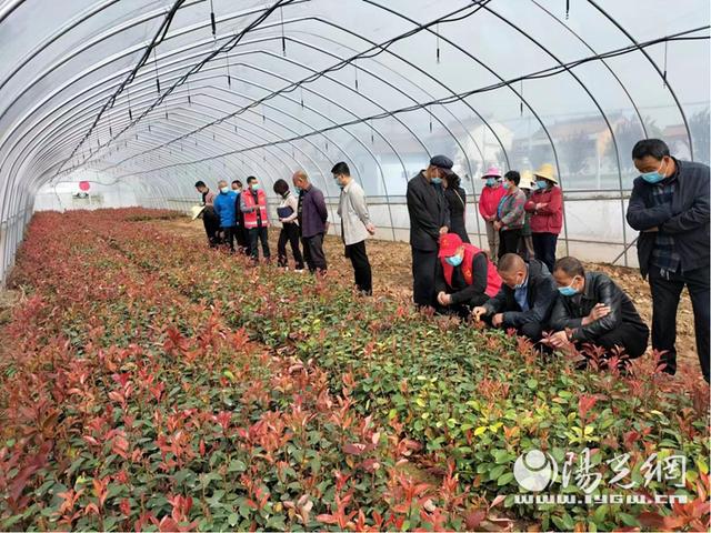 岐山縣科協(xié)組織開展科技志愿服務(wù)系列活動，助力農(nóng)業(yè)園藝發(fā)展