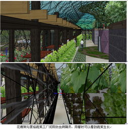 4736平方米方型生態(tài)餐廳及霧培蔬菜工廠設(shè)計(jì) 中國(guó)農(nóng)業(yè)硅谷引領(lǐng)農(nóng)業(yè)園藝服務(wù)新模式